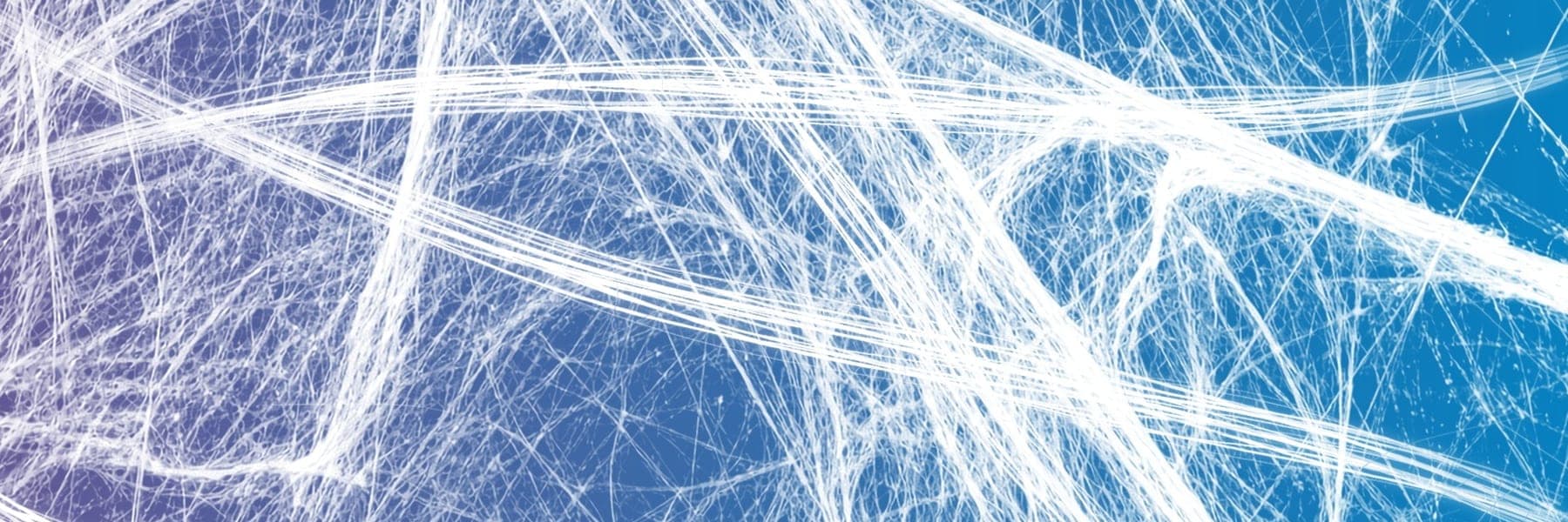 Interwoven white fibers over a purple-to-blue gradient, suggesting the continuous network of fascia